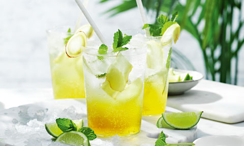 Dragonberry Lime Fizz Mocktail